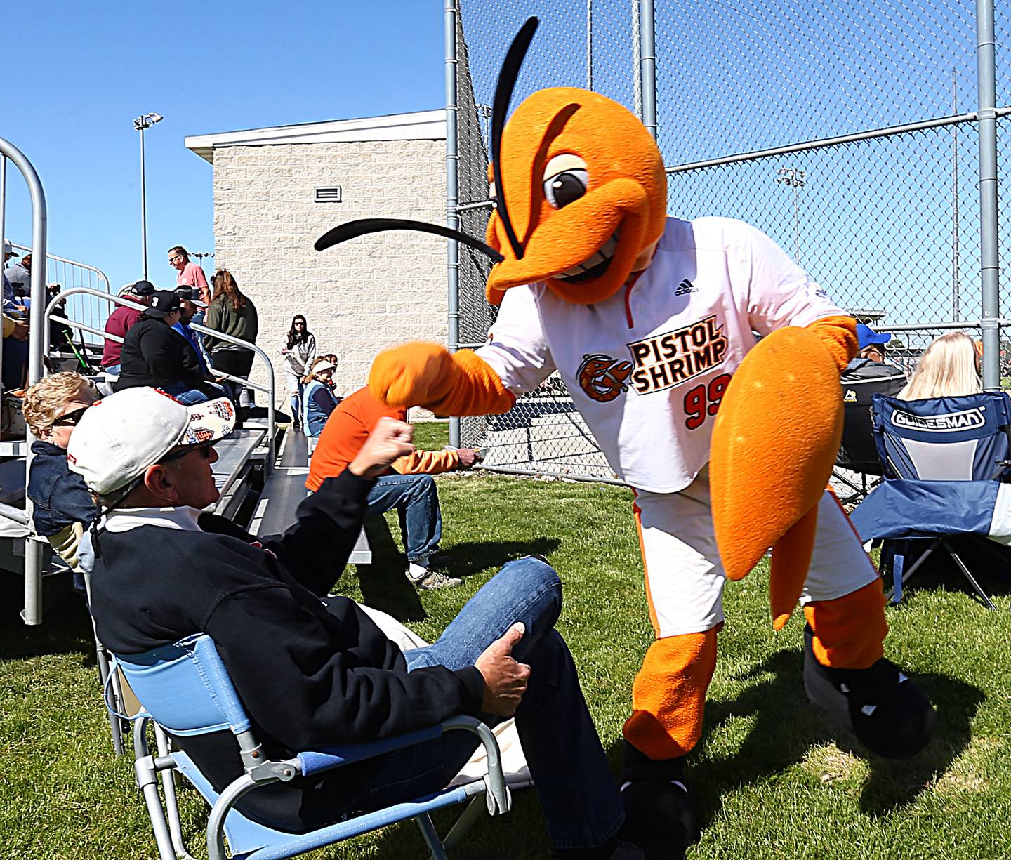 Illinois Valley Pistol Shrimp mascot South Claw Sam high-fives fans before the doubleheader against the Lafayette Aviators on Saturday, May 29, 2021, at Veterans Memorial Park in Peru.