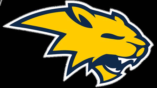 Neuqua Valley’s defense stands tall late, secures 10th straight win over Waubonsie Valley