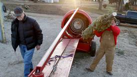 Real Christmas trees more popular among millennials, driving Christmas tree farm business