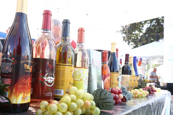 Vintage Illinois Festival returns to Utica for a weekend of wine tasting, music and food
