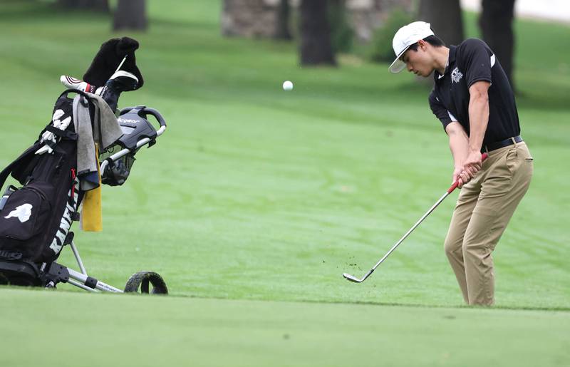 Kaneland’s Zach Ramos chips onto the ninth green Wednesday, Sept. 27, 2023, during the Class 2A boys golf regional at Sycamore Golf Club.