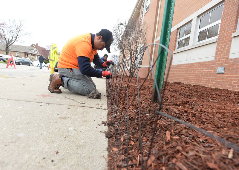 Home Depot Customer Service manager Edward Gagni helps put up fencing around mulch laid out in collaboration with members of Heritage Middle School Instructional Special Ed Science class and OAV Club during beautify day held Wednesday April 20, 2022.