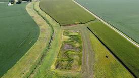 Conservation district seeks board nominees