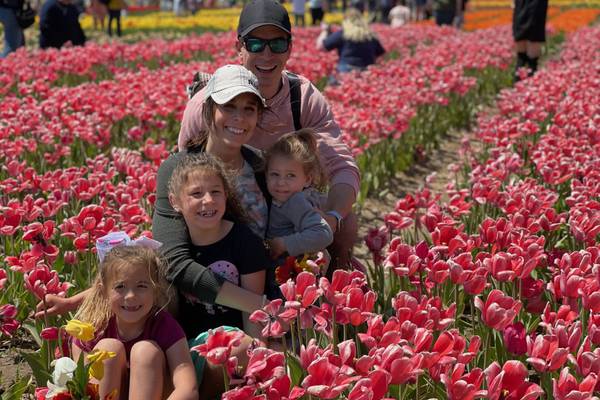 Bloom Season: Must visit flower festivals in the Midwest this spring, summer