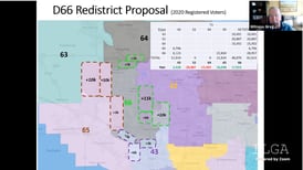 Elected officials, witnesses trade barbs over redistricting at McHenry County hearing