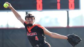 Photos: Beecher vs. Auburn, Class 2A State semifinal softball