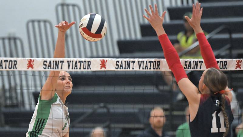 York suffers straight-sets loss at St. Viator