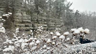 Photos: A glimpse of winter in the Illinois Valley