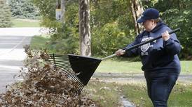 McHenry County towns are collecting fall leaves, but are they better off as mulch?