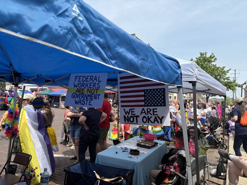 Signs hang in the Indivisible McHenry County booth during Woodstock Pride June 15, 2025.