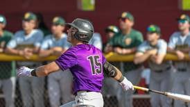 Downers Grove North closing in on 20-win benchmark: Suburban Life baseball notebook