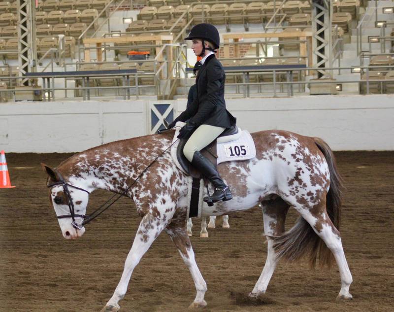 Payton Frueh and her gelding, Cooper, won four of the five events and took home the Championship in Jr. Versatility for the 2025 Illinois State Fair.