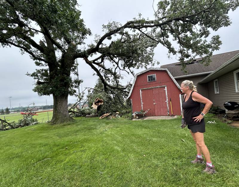 Jan Cox looks at the large oak tree on Tuesday, July 16, 2024. that was split in her backyard at 1113 W. Second Street in Byron during Monday night's storm.