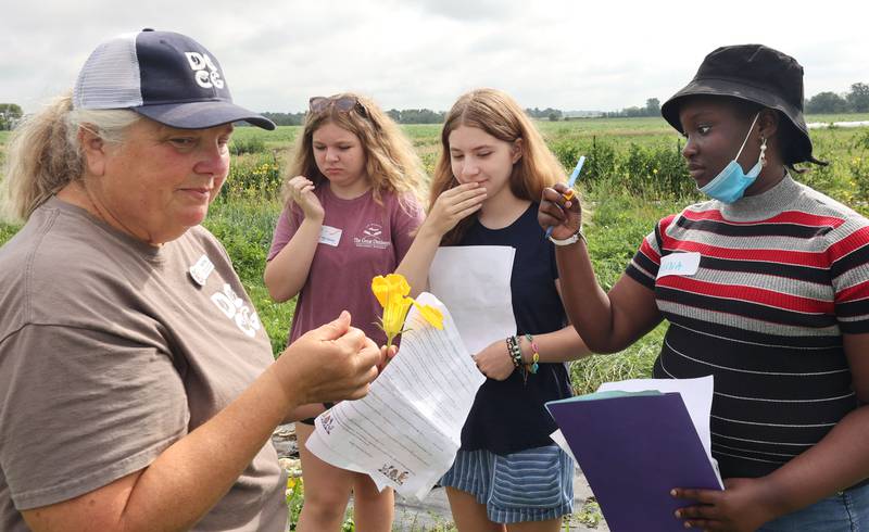 Julie Craig, (left) Walnut Grove Vocational Farm assistant program director, gets Sustainable Food Safari Camp participants to try a bite of a squash blossom Wednesday, July 27, 2022, during the camp's stop at Walnut Grove Vocational Farm in Kirkland.