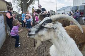 Photos: Farm open house in Chadwick