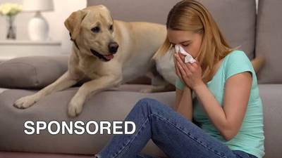 Breathe Easier: Simple Steps to Improve Your Home’s Air Quality