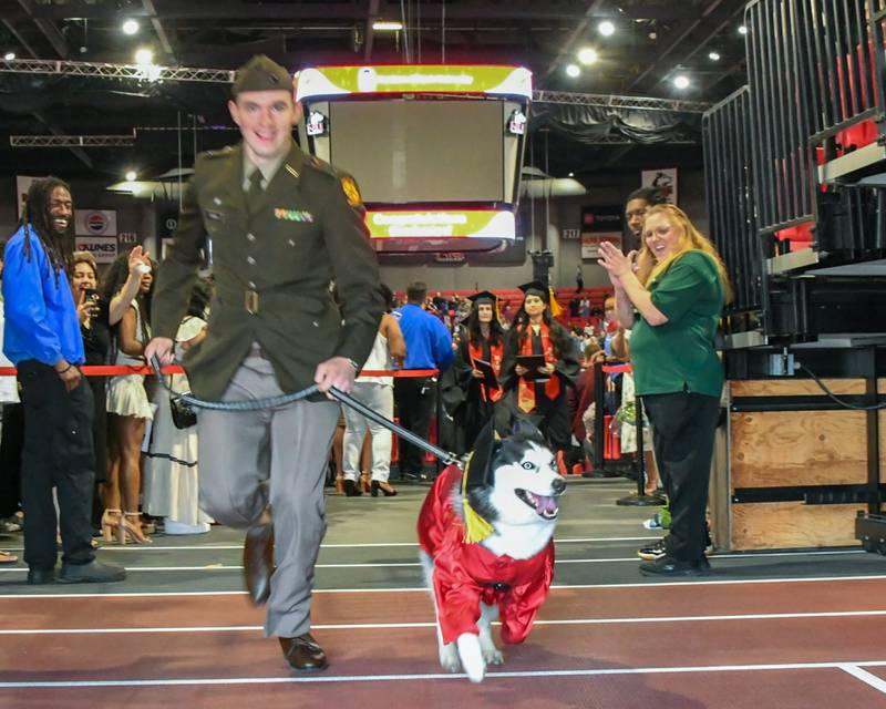 An ROTC member along with Huskie Mission III are all smiles and dressed for the occasion on Saturday, May 10, 2025 as they help lead the Class of 2025 Northern Illinois University graduates out of the Convocation Center in DeKalb.