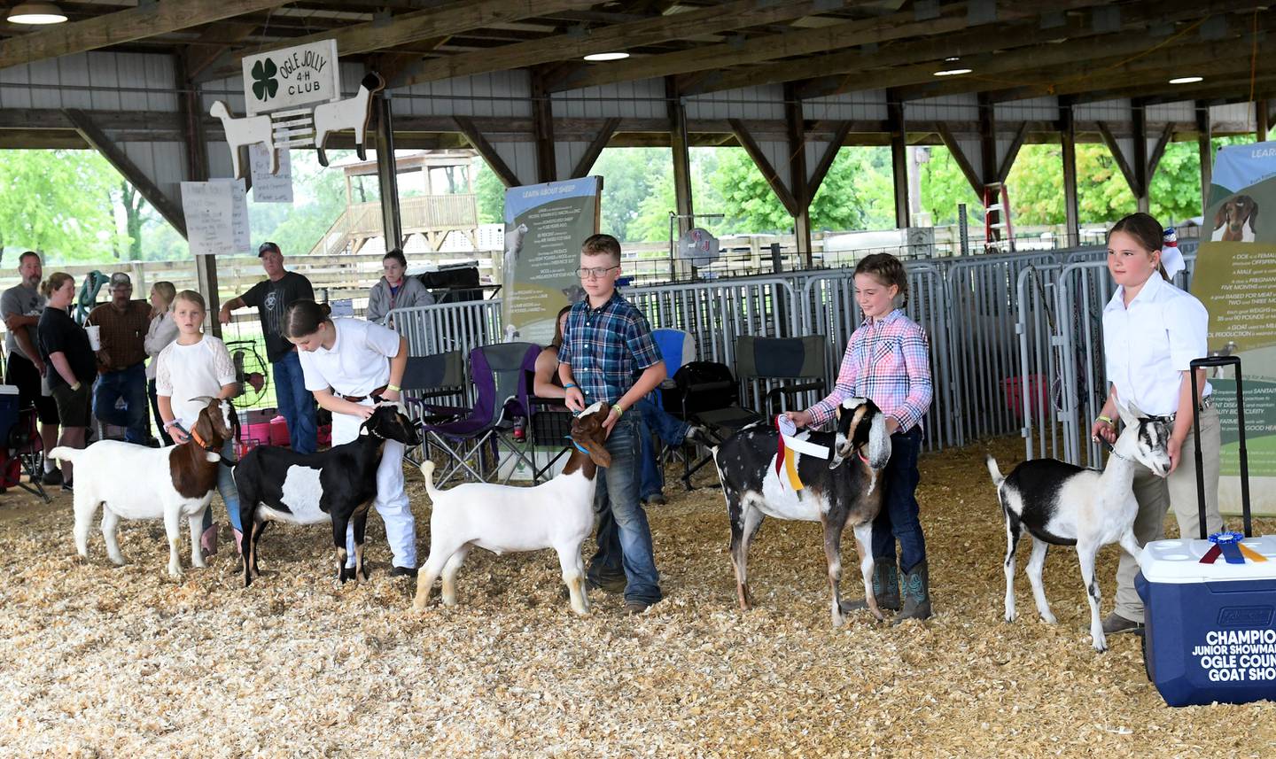 Kids show their goats in the Junior Show at the Ogle County 4-H Fair on Sunday, Aug. 7, 2022. The goat show was the only event not cancelled on Sunday after nearly 3 inches of rain fell in the area early Sunday morning.