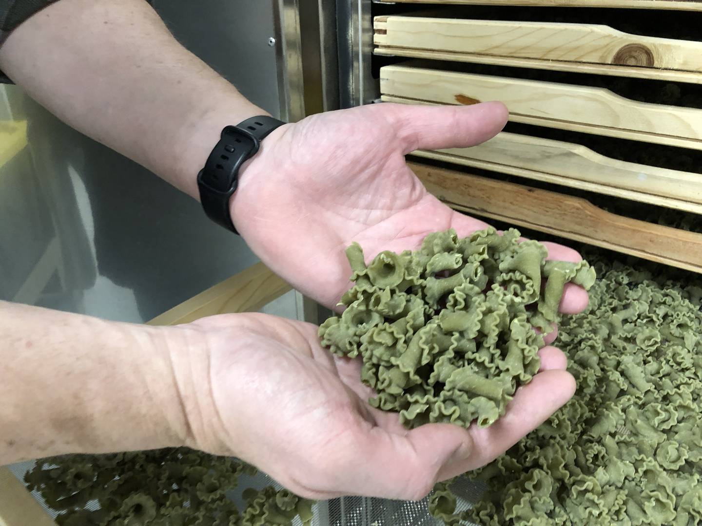 Pasta made by Mario and Stephanie Scordato, of Woodstock, goes from fresh to dry in less than 24 hours. The couple has ran PastaBar in McHenry for 10 months.