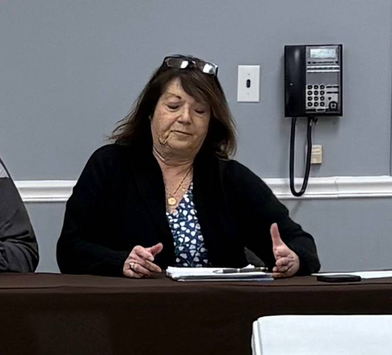 Nunda Township Leda Bobera-Drain oversees a board meeting on Feb. 13, 2025.