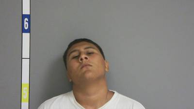 La Salle man detained after stolen gun seized in Naplate