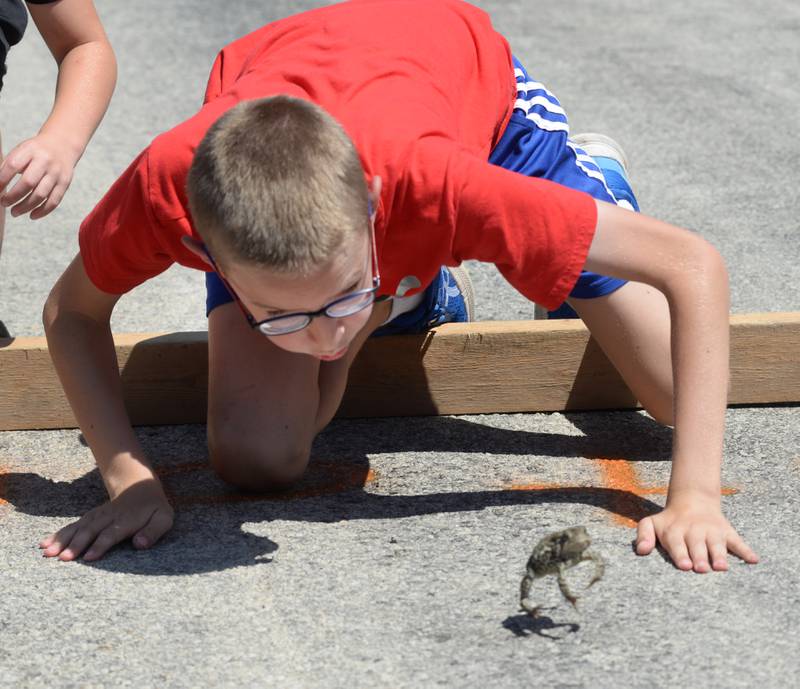 Silas Newman, 12, of Erie, crouches behind "Bill" his toad to encourage the amphibian to hop toward the finish line at the Hooppole Fun Day's Toad Race held Saturday, June 28, 2025 in Hooppole.