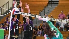 Downers Grove North tops York to complete perfect West Suburban Conference Silver Division run