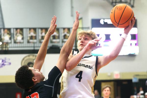 Daily Chronicle boys basketball preview: 5 to watch