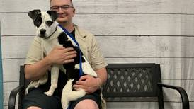 Find your forever friend at a local shelter or rescue
