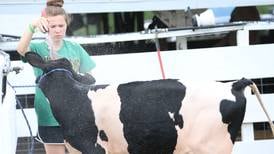 La Salle County 4-H fair begins July 10