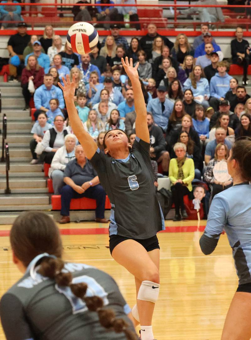 Willowbrook’s Hannah Kenny (6) sets the ball against Oak Park River Forest during the 4A girls varsity volleyball sectional final match at Hinsdale Central high school on Wednesday, Nov. 1, 2023 in Hinsdale, IL.