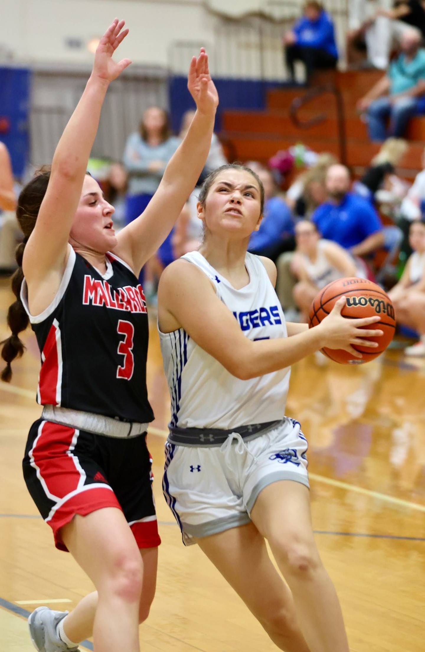 Princeton's Olivia Mattingly drives on Henry's Lauren Harbison Tuesday night at Prouty Gym.