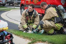 Cat treated for smoke inhalation following fire Saturday in Huntley