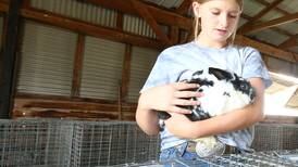 Photos: Marshall-Putnam 4-H Show in Henry