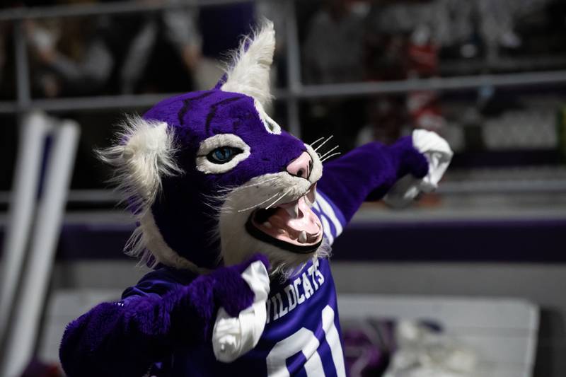 Wilmington's mascot Wildcat Will hands out spirit wear at halftime during the Wildcats' 49-7 victory over Tri-Valley in the quarterfinal game on Saturday, Nov. 15, 2025.