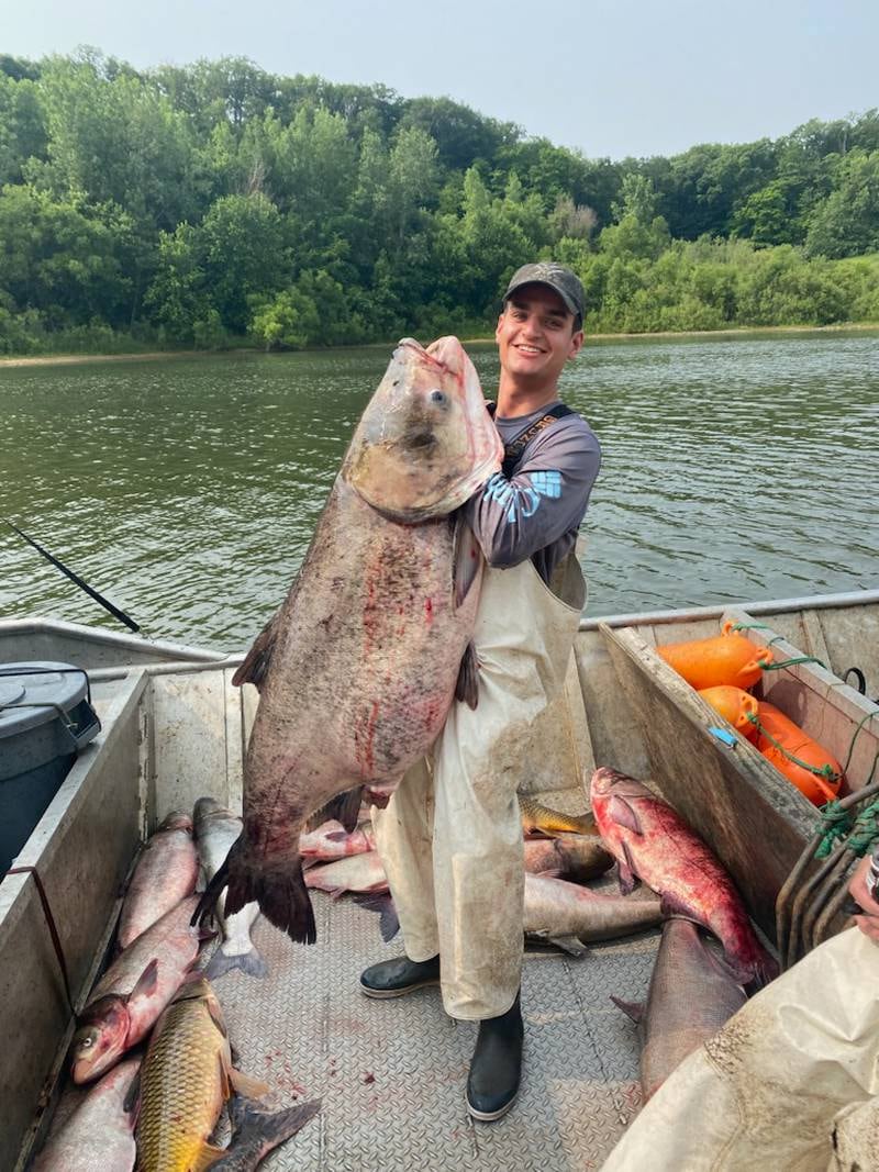A biologist with the Illinois River Biological Station holds up a 109 pound carp pulled from the Illinois River near Morris.