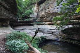 Hinckley-area boy injured after 25 to 30 foot fall at Starved Rock State Park
