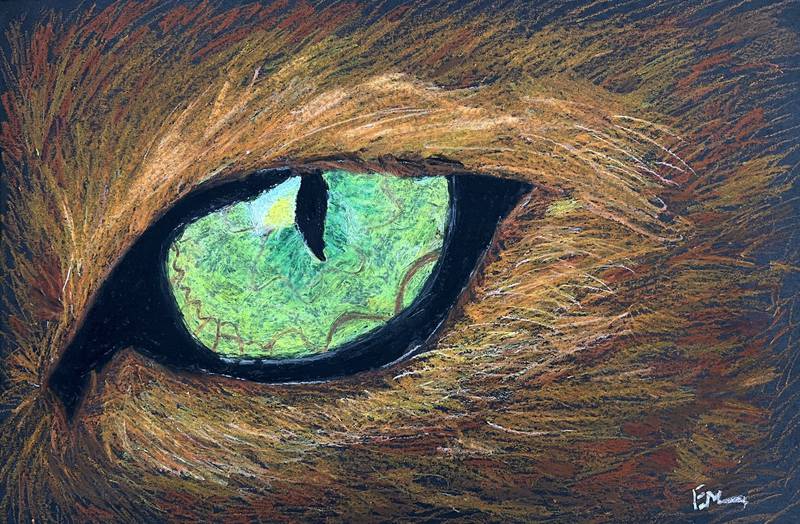 "Eye" painting created by Hinckley-Big Rock seventh grade student Evelyn Martin