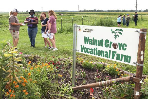 DeKalb County Community Gardens awarded state funds to aid area food insecurity