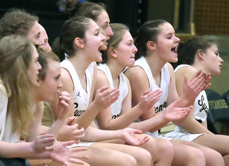 The Sycamore bench celebrates a defensive stop during the Class 3A regional final game against Kaneland Friday, Feb. 17, 2023, at Sycamore High School.