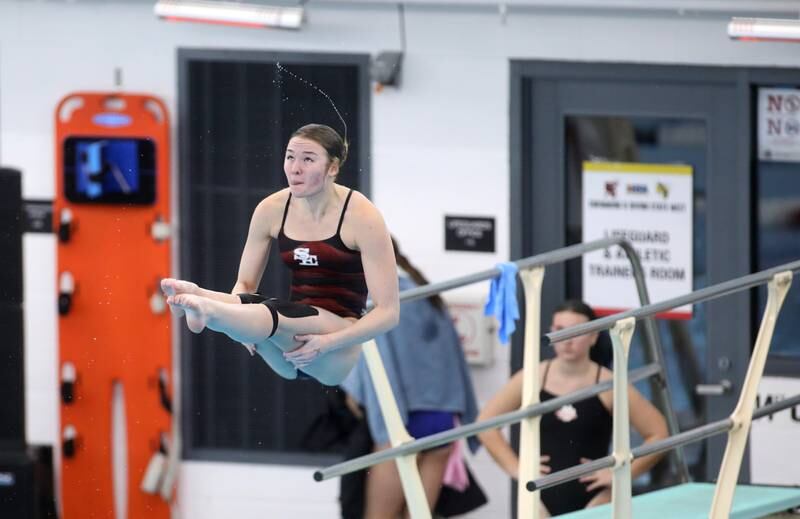 South Elgin’s Morgan McCloskey dives during the IHSA Girls State Championships on Saturday, Nov. 16, 2024 at FMC Natatorium in Westmont.