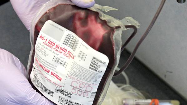 St. Bede partners with Red Cross for Nov. 4 blood drive