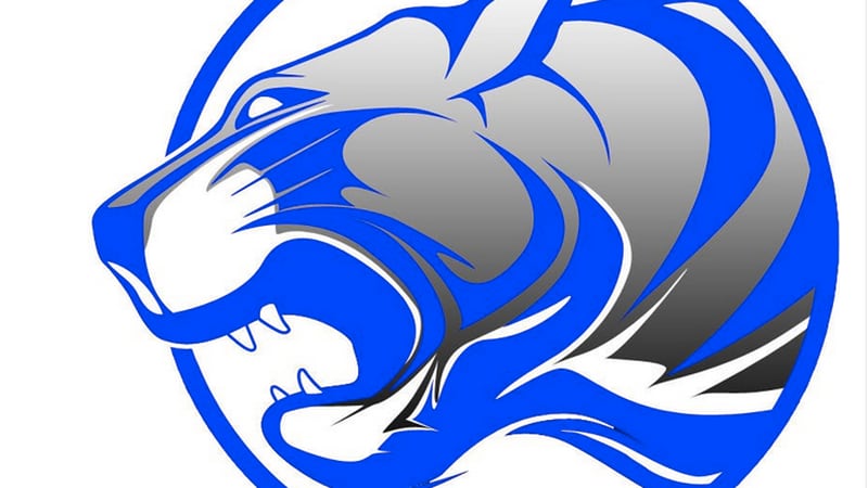 Princeton places second at Hall Early Bird Tournament: BCR Saturday roundup 