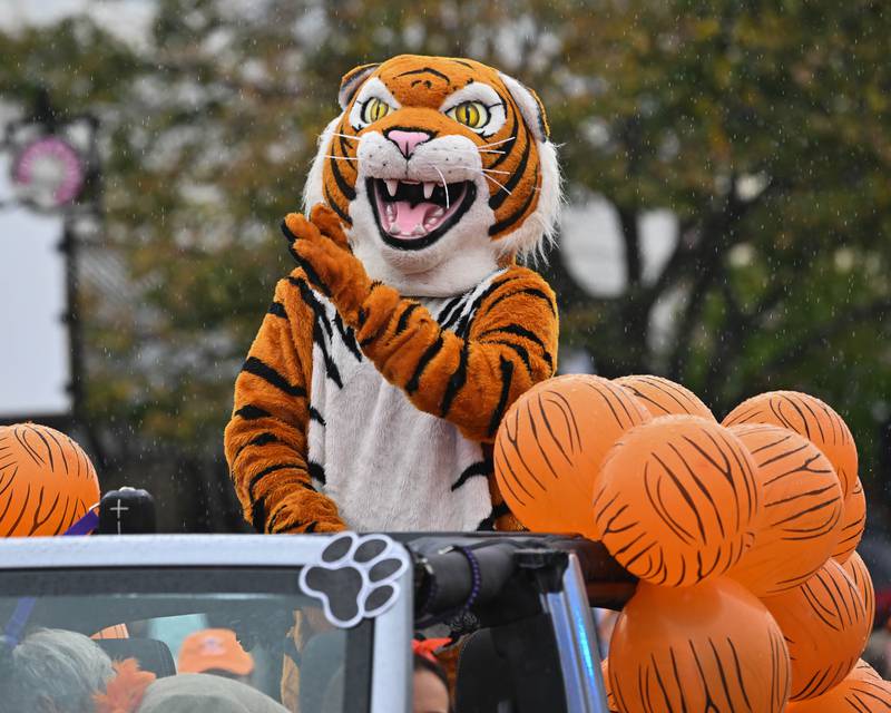 Crystal Lake Central High School mascot "Tiger" seen in the school's 100 year anniversary homecoming day parade on Saturday, Sep. 16, 2023 in Crystal Lake. The parade began at the high school and made its way through downtown Crystal Lake.