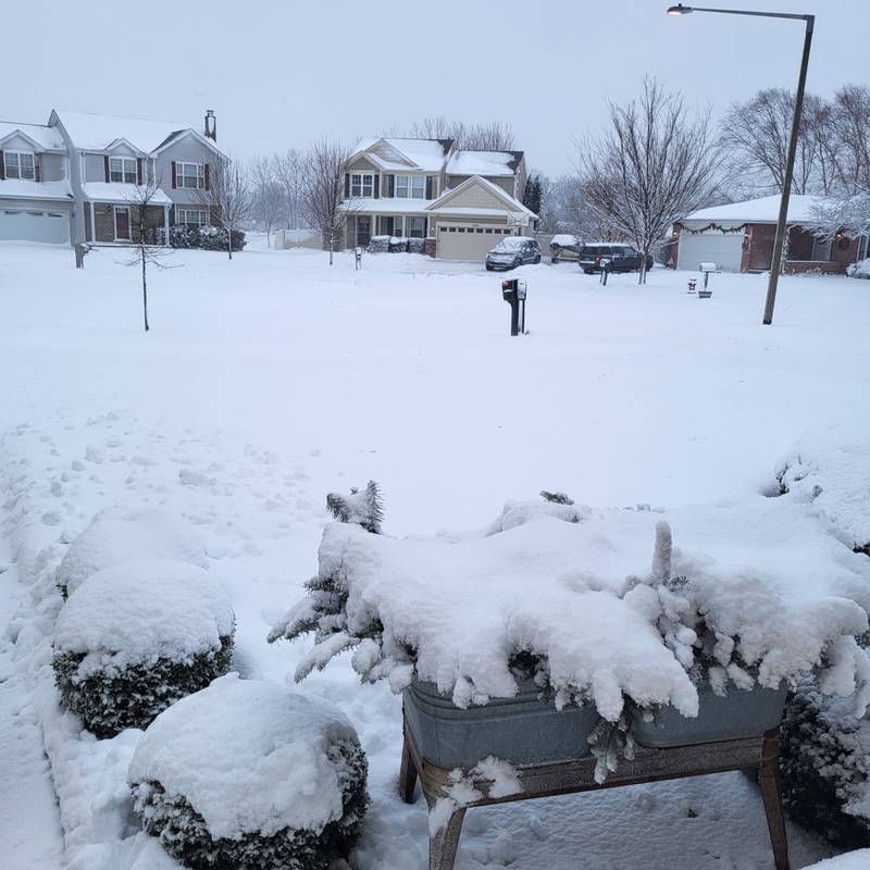 Snow covers a neighborhood in Will County on Friday, January 12, 2024