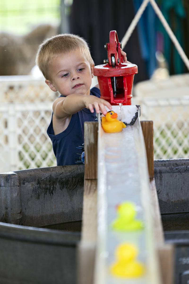 Bowdin DeVries, 3, of Forreston puts all his ducks in a row Wednesday, August 6, 2025, at the Discover Farm tent at the Carroll County Fair.