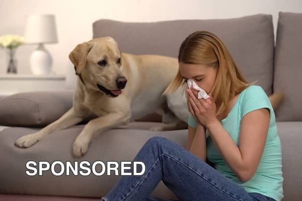 Breathe Easier: Simple Steps to Improve Your Home’s Air Quality