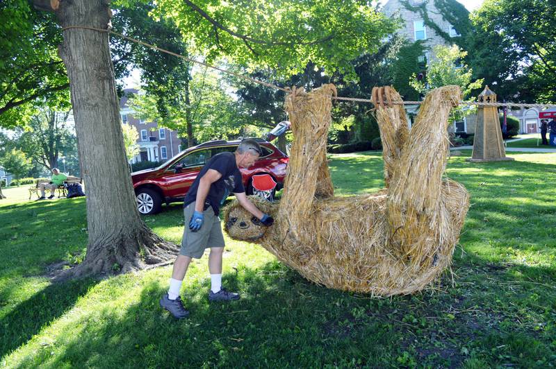 Chris Mann, of Rockford, fixes some stray straw on his and Cecilia Mann's sculpture, "Three-toed Straw Sloth," on Friday, Aug. 11, 2023.  The U.S. National Straw Sculpting Competition runs Aug. 11-27, culminating in StrawFest Day on Aug. 26. Sculptures are displayed on the Mt. Morris campus, along with voting boxes.
