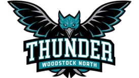 Woodstock North baseball wins big: Saturday’s Northwest Herald sports roundup