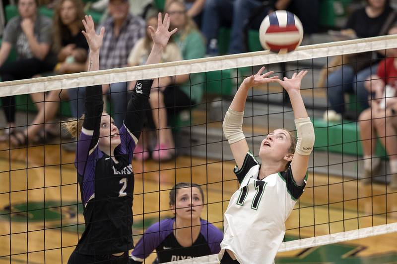 Rock Falls’ Miley Bickett sets the ball against Dixon Thursday, Sept. 19, 2024, in a Big Northern Conference match at RFHS.